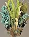 Dried Blue Hydrangea Bouquet