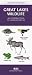Book Great Lakes Wildlife : An Introduction to Familiar Species (Pocket Naturalist Series)