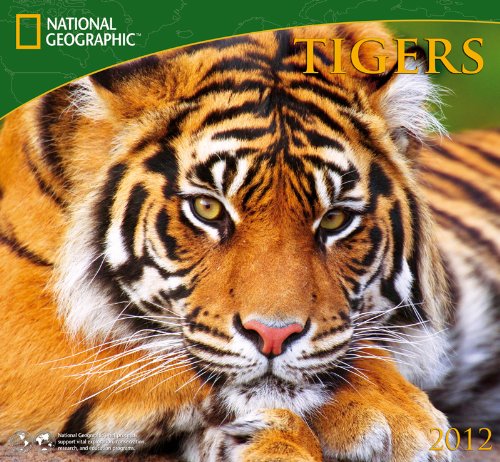 2012 Tigers - National Wall calendar