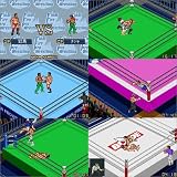 ファイナルファイヤープロレスリング〜夢の団体運営〜