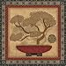 Sally Ray Cairns - Bonsai II, Size: 24 x 24 Canvas Finish