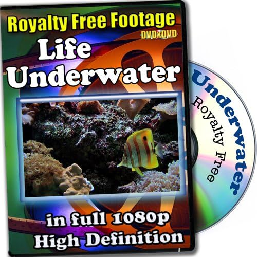 Underwater Life - Royalty Free Video Footage High Definition Collection, Commercial Lisence