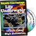Underwater Life - Royalty Free Video Footage High Definition Collection