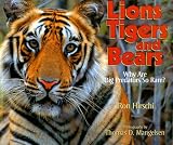 Lions, Tigers and Bears: Why Are Big Predators So Rare?
