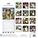 Collie Calendar - Breed Specific Collie Calendar - 2016 Wall calendars - Dog Calendars - Monthly Wall Calendar by Avonside