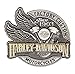 Harley-Davidson Men's Factory Custom Pin, Antique Silver & Gold Finish P142234