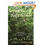 The Most Beautiful Roof in the World: Exploring the Rainforest Canopy