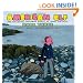 American Elf Volume 3 (v. 3)