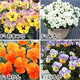 【メール便配送】　国華園　花たね ビオラももかセット 4種4袋