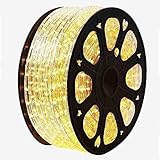 GotHobby 150'ft Warm White 2-Wire LED Rope Light Flexible Home Outdoor Christmas Lighting 110v