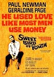 Sweet Bird Of Youth - Paul Newman - Tennessee Williams [DVD]