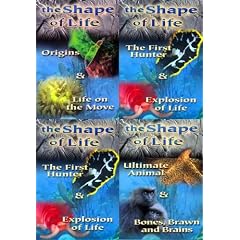 The Shape of Life (4 Pack)