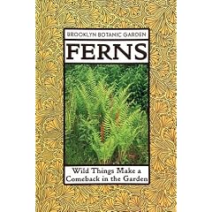Ferns: Wild Things Make a Comeback in the Garden (21st Century Gardening Series)