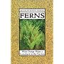 Ferns: Wild Things Make a Comeback in the Garden (21st Century Gardening Series)