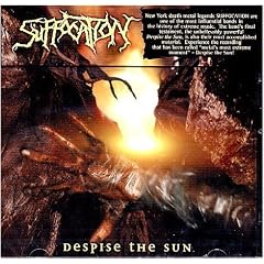 Despise The Sun