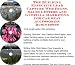 Book The Guerilla Marketing, Building Effective Lead Capture Web Pages, Sales Letters for Car Seat Accessories Businesses