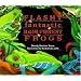 Flashy, Fantastic Rain Forest Frogs