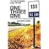 One Three One: A Time-Shifting Gnostic Hooligan Road Novel