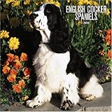 English Cocker Spaniels 2006 Calendar