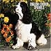 English Cocker Spaniels 2006 Calendar