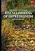 Book The Thames and Hudson Encyclopedia of Impressionism (World of Art)