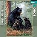 Buffalo Games Hautman: Bear Family