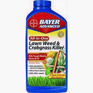 Bayer 704140A All-In-1 Weed Killer