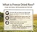 Instinct Raw Boost Grain Free Lamb & Salmon Meal Formula Natural Dry Dog Food By Nature'S Variety, 4.1 Lb. Bag