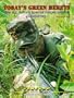 Green Berets: US Army Special Forces Groups (Airborne) (Concord Colour 3000)