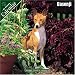 Basenji 2007 Wall Calendar