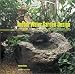 Indoor Water Garden Design