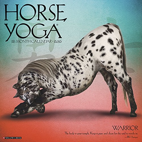 2016 Horse Yoga Wall Calendar