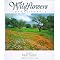 California Native Plant Books