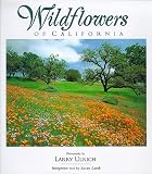 Search : Wildflowers of California