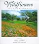 Wildflowers of California