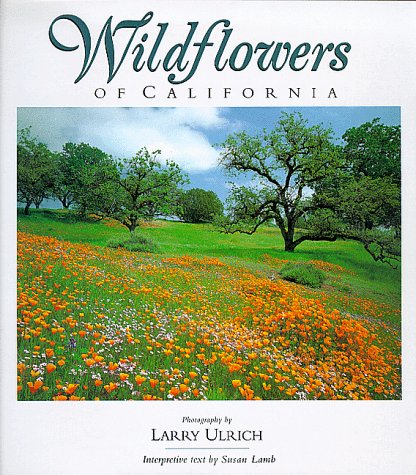 Wildflowers of California