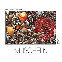 Kalender, Muscheln 2007
