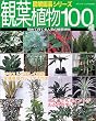 �ϗt�A��100��\���| (�u�e�B�b�N�E���b�N�\�}�����|�V���[�Y (No.465))