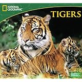 2014 national geographic tigers deluxe wall