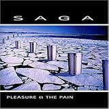 Pleasure and the Pain - Saga