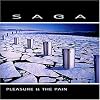 Pleasure and the Pain