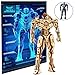 Pacific Rim Uprising Gipsy Avenger Poster and 3D Wood Model Kit - Build, Paint and Collect Your Own Wooden Model - Great for Kids and Adults, 12+ - 6 1/2