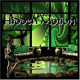 Hidden Motion