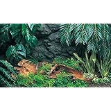 ���i�̏ڍ�