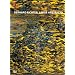 Gerhard Richter: Large Abstracts