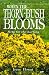 Book When the Thornbush Blooms: