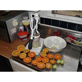Orange-X Professional Juicer