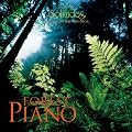 Forest Piano