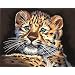 Dimensions Needlecrafts Paintworks Paint By Number, Leopard Cub
