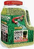 300SQFT S Fescue Mix
